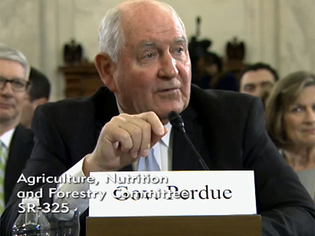 George "Sonny" Perdue, former governor of Georgia, answers questions at the Senate Agriculture Committee hearing Thursday morning on his nomination to become the next secretary of Agriculture. (Photo from Senate Agriculture Committee hearing video)